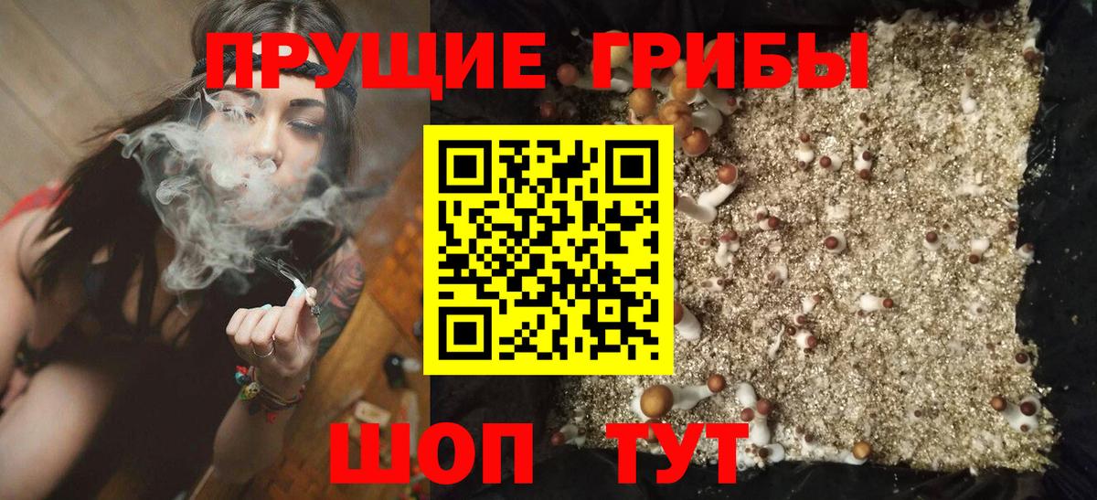 Галлюциногенные грибы Psilocybine cubensis Великий Новгород